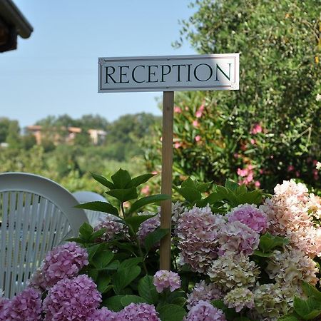 Agriturismo Ai Ciliegi Bardolino Kültér fotó