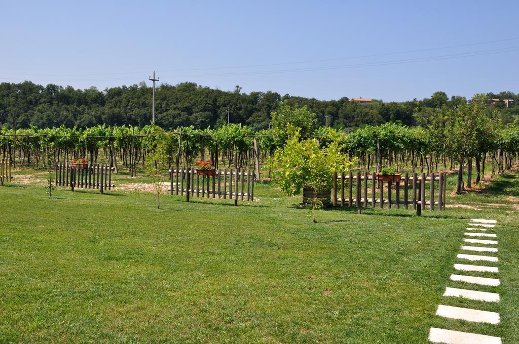 Agriturismo Ai Ciliegi Bardolino Kültér fotó