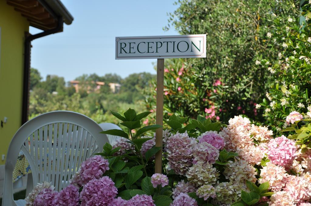 Agriturismo Ai Ciliegi Bardolino Kültér fotó